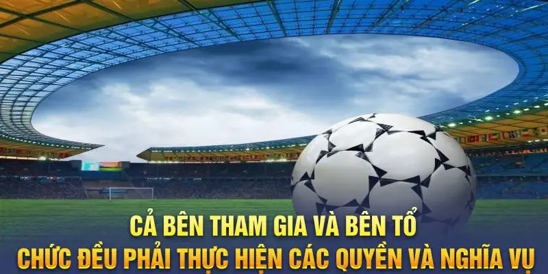 Cả bên tham gia và bên tổ chức đều phải thực hiện các quyền và nghĩa vụ