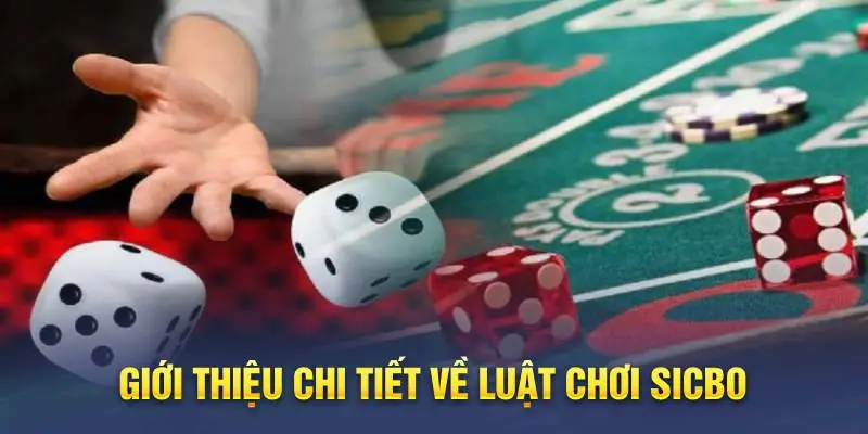 Giới thiệu chi tiết về luật chơi sicbo