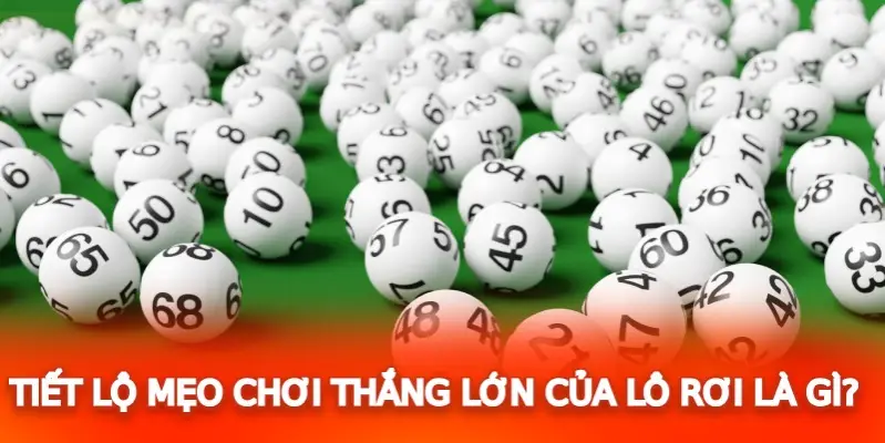 Tiết lộ mẹo chơi thắng lớn của lô rơi là gì?